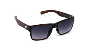 Flying Eyes Osprey Sunglasses